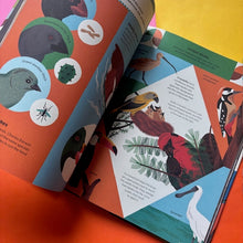 Load image into Gallery viewer, What makes A Bird? An Illustrated Guide to the Bird World
