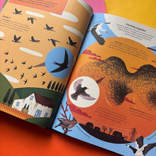 Load image into Gallery viewer, What makes A Bird? An Illustrated Guide to the Bird World
