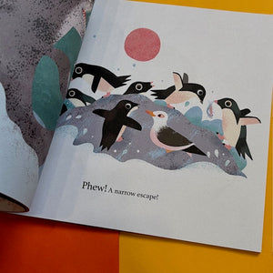 One Day on Our Blue Planet …In the Antarctic