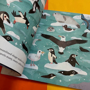 One Day on Our Blue Planet …In the Antarctic