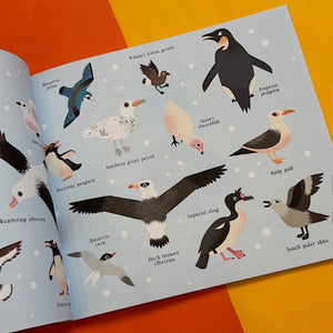 One Day on Our Blue Planet …In the Antarctic