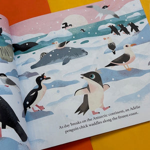One Day on Our Blue Planet …In the Antarctic