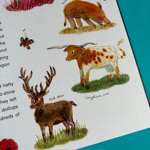 Rewild The World At bedtime