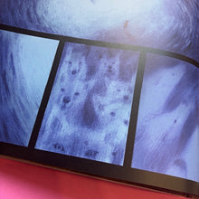 Load image into Gallery viewer, The Dream
