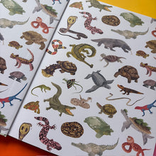 Load image into Gallery viewer, The Colorful World of Reptiles
