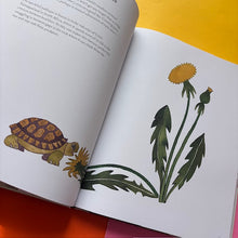 Load image into Gallery viewer, The Colorful World of Reptiles
