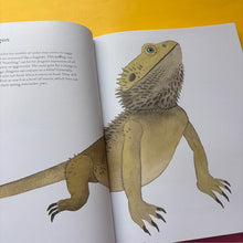 Load image into Gallery viewer, The Colorful World of Reptiles
