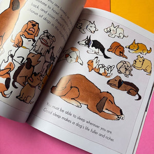 School For Puppies