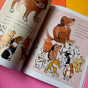 School For Puppies