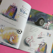 Load image into Gallery viewer, Shy Willow
