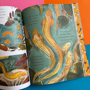 5 MInute Ocean Stories: True Tales From The Sea