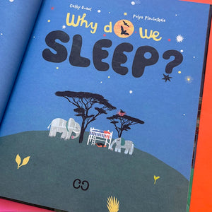 Why Do We Sleep?