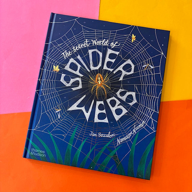 The Secret World of Spider Webs