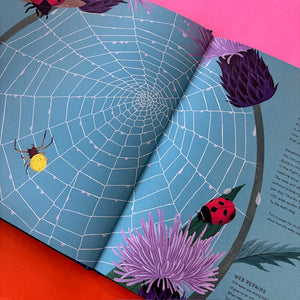 The Secret World of Spider Webs