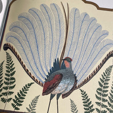 Load image into Gallery viewer, Super Powered Animals
