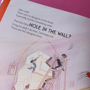 There Are No Dragons In This Book