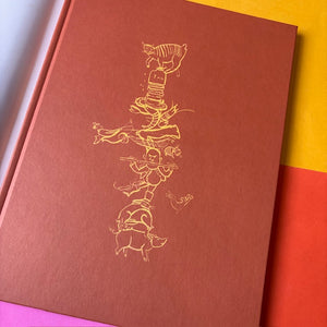 The Boy Who Became A Parrot: A Foolish Biography Of Edward Lear