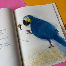 Load image into Gallery viewer, The Boy Who Became A Parrot: A Foolish Biography Of Edward Lear
