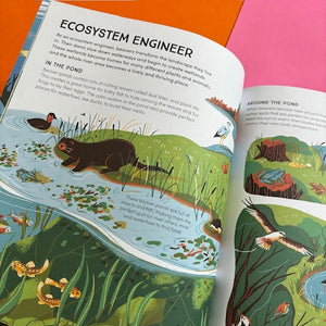 Wildlife in the Balance : The Species that Shape Earth’s Ecosystems