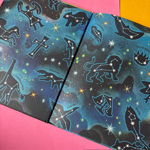 Wish Upon a Star: The Science, Magic and Meaning of Stars