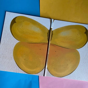 River Of Mariposas
