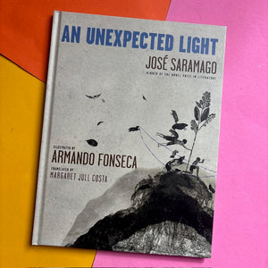 An Unexpected Light