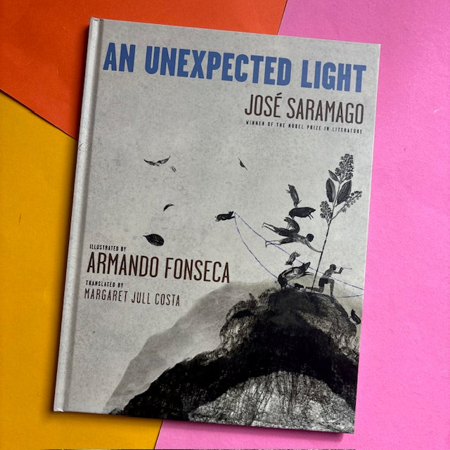 An Unexpected Light