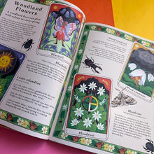 Load image into Gallery viewer, Woodlore: Discover the seasons and stories of the forest
