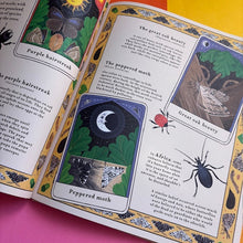 Load image into Gallery viewer, Woodlore: Discover the seasons and stories of the forest
