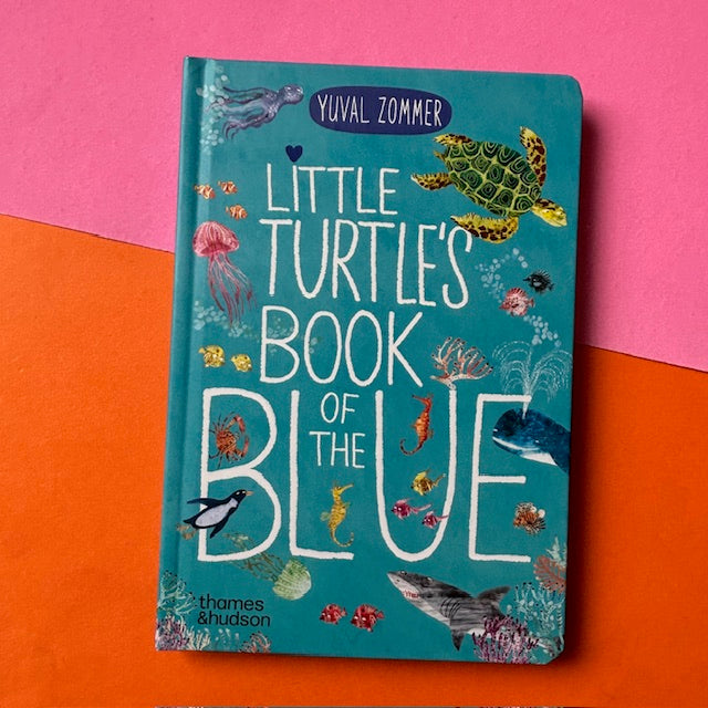 Little Turtle's Book Of The Blue
