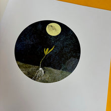 Load image into Gallery viewer, The Moon Seed
