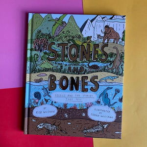Stones And Bones