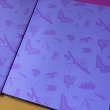 Load image into Gallery viewer, Buzz : A child's guide to bugs and bees and how to spot them
