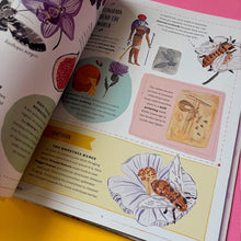 Load image into Gallery viewer, Buzz : A child's guide to bugs and bees and how to spot them

