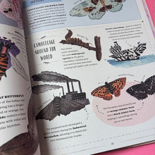 Load image into Gallery viewer, Buzz : A child's guide to bugs and bees and how to spot them
