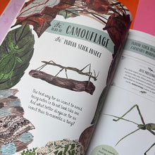 Load image into Gallery viewer, Buzz : A child's guide to bugs and bees and how to spot them
