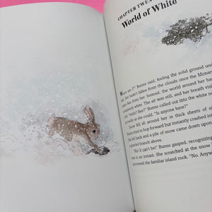 Bunns rabbit