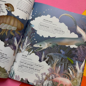 The Fantastical Safari