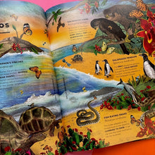 Load image into Gallery viewer, The Fantastical Safari
