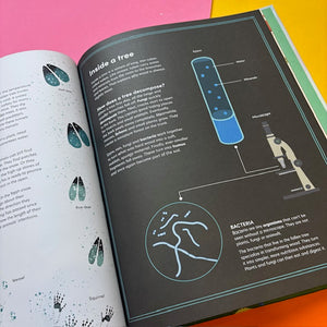 The Tomorrow Tree: How Nature Creates New Life From Old