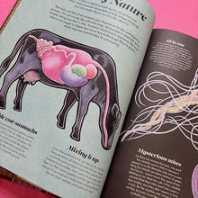 Load image into Gallery viewer, Poo: A (Very) Natural History &amp; A Powerful Future
