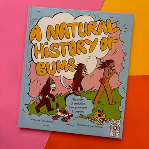 A History Of Bums