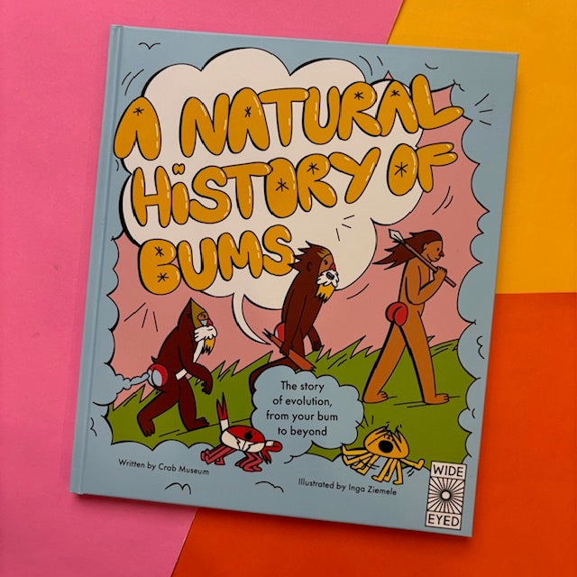 A History Of Bums