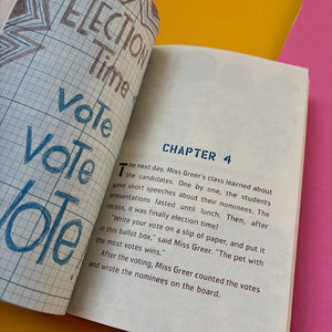 Sofia Valdez and the Vanishing Vote : The Questioneers Book #4