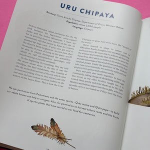 Origin: An illuminating look at Indigenous peoples and their connection to the natural world