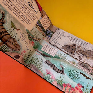 The Fossil Keeper's Treasure : With Amazing Fossils to Touch!