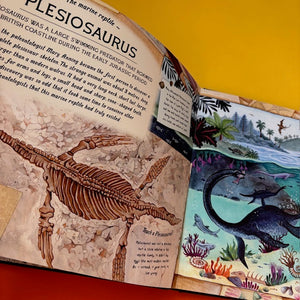 The Fossil Keeper's Treasure : With Amazing Fossils to Touch!