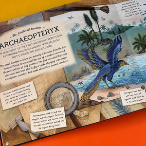 The Fossil Keeper's Treasure : With Amazing Fossils to Touch!