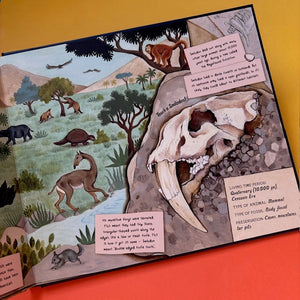 The Fossil Keeper's Treasure : With Amazing Fossils to Touch!