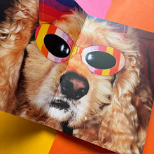 Load image into Gallery viewer, Animals
